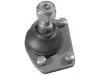 Joint de suspension Ball Joint:77 01 455 905