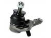 Ball Joint:43330-49185